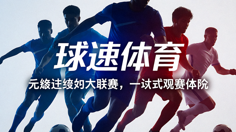 体育数据可视化界面展示统计图表与指标