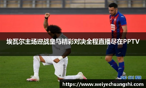 ub8优游